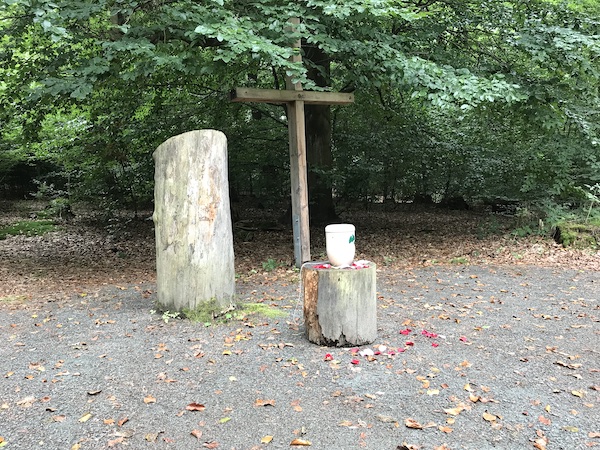 A small funeral urn containing Jim's ashes, sitting on a stump in a forest.
