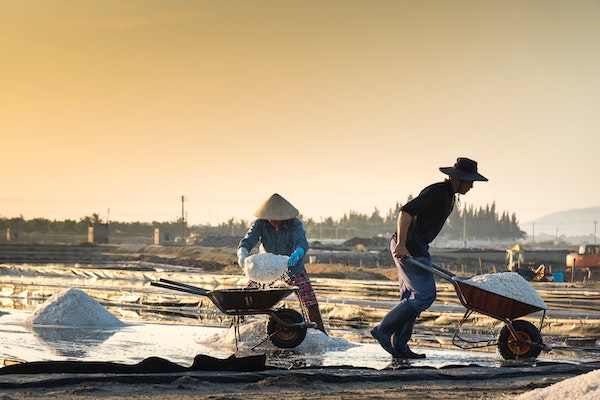 Two people loading salt into wheelbarrows.